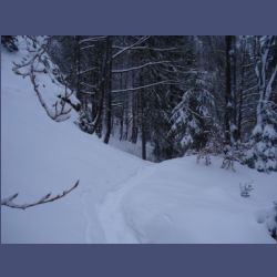 2013-02-02_Rappinschlucht_Lainlalm (110).jpg